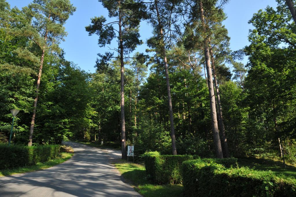 Village De Vacances De Vencimont Vonêche Eksteriør billede